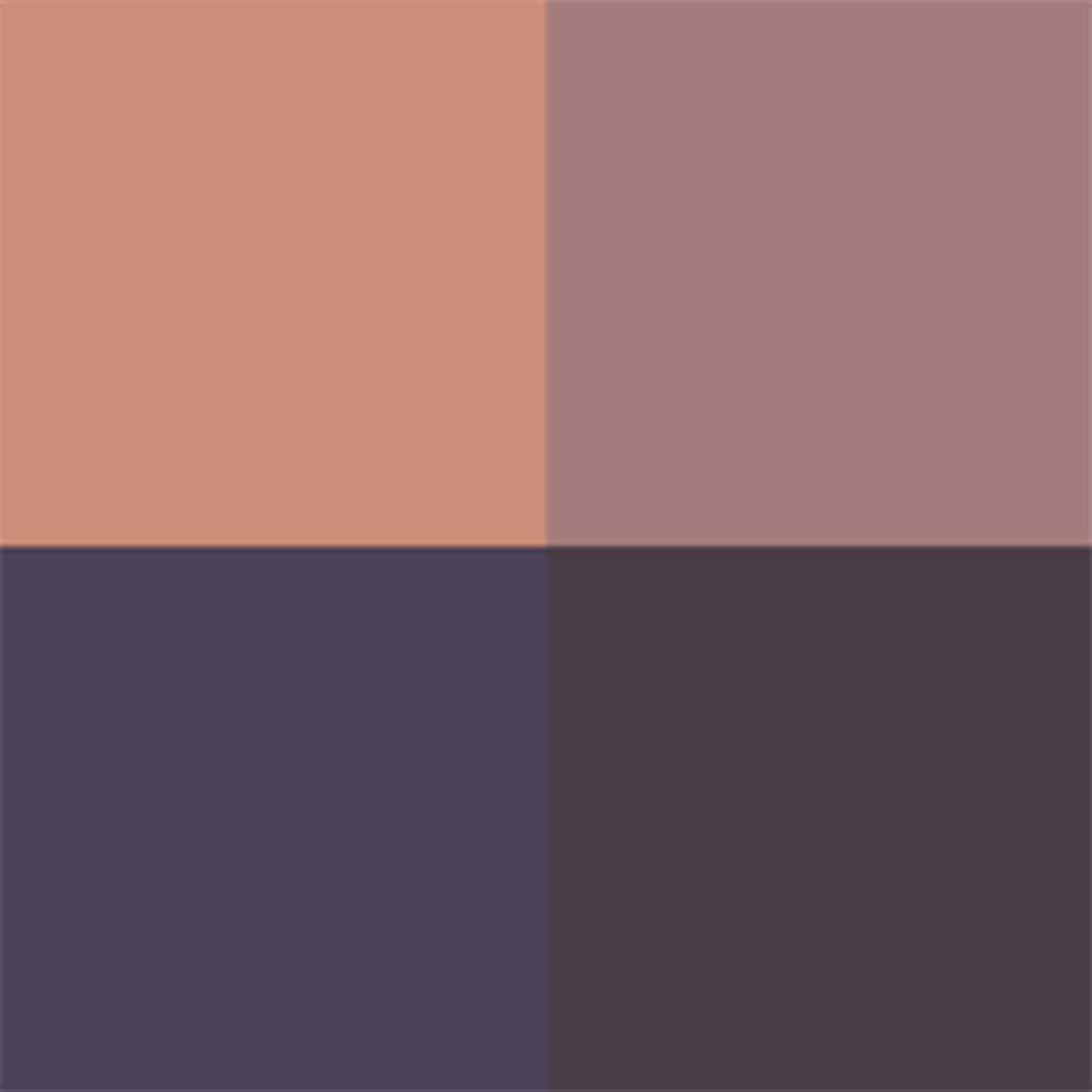 Tom Ford Runway Eye Color Quad Cr&egrave;me